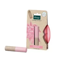 Balsamy do ust - Kneipp Kneipp Natural Care & Color balsam do ust 3,5 g Natural Rose - miniaturka - grafika 1