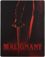 Horrory Blu-Ray - Wcielenie - miniaturka - grafika 1