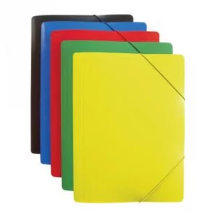 TECZKA Z GUMKĄ A4 PP TAURUS ZIELONA - Teczki i skoroszyty - miniaturka - grafika 1