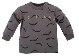 PINOKIO bluza chłopięca Le Tigre 1-02-2109-410-GD 62 szara - Bluzy i sweterki niemowlęce - miniaturka - grafika 1