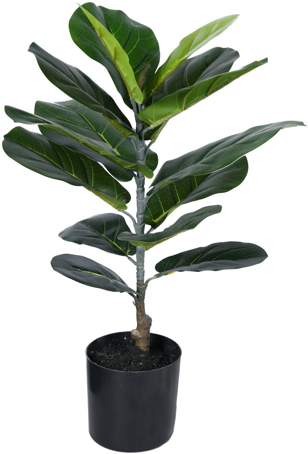Direct Home and Garden Fikus sztuczny 60 cm