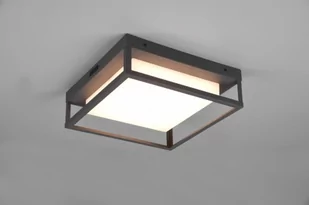 Trio WITHAM 677860142 677860142 - Lampy ogrodowe - miniaturka - grafika 1