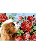 Podręczniki dla szkół podstawowych - Diamentowa mozaika Pies z różami 30x40cm 1006959 - miniaturka - grafika 1