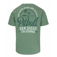 Odzież taktyczna i umundurowanie - PITBULL KOSZULKA Light Weight 170 Basic San Diego Born '25 - Miętowa - miniaturka - grafika 1