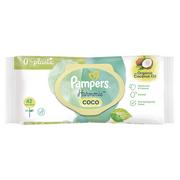 Chusteczki nawilżane - PAMPERS PROCTER & GAMBLE chusteczki nawilżane Pure Coconut x 42 szt - miniaturka - grafika 1