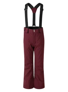 Dare 2b Spodnie narciarskie "Outmove II" w kolorze fioletowym - Spodnie narciarskie - miniaturka - grafika 1