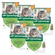 Artykuły przeciw pasożytom - Krople na pchły BAYER Advantage Małe koty 20 x 0.4 ml - miniaturka - grafika 1