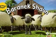 Czasopisma - Życzenia urodzinowe od Baranka Shauna - miniaturka - grafika 1