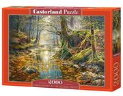 Puzzle - Castorland Puzzle Reminiscence of the Autumn Forest 2000 - miniaturka - grafika 1