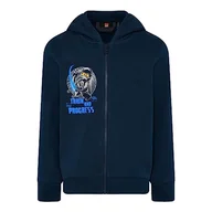Bluzy dla chłopców - LEGO Ninjago bluza chłopięca z kapturem - 100% bawełna - LWSTORM 613, 590., 152 - miniaturka - grafika 1
