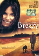 Filmy obyczajowe DVD - Breezy - miniaturka - grafika 1