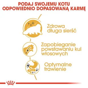 Royal Canin Persian Adult 20 kg - Sucha karma dla kotów - miniaturka - grafika 13