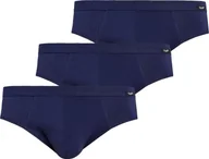 Majtki męskie - Teyli Wielopak slipów męskich Toni niebieski XXL Niebieski - miniaturka - grafika 1