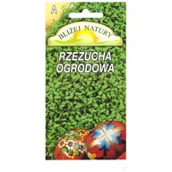 Nasiona i cebule - Rzeżucha ogrodowa 5g - miniaturka - grafika 1