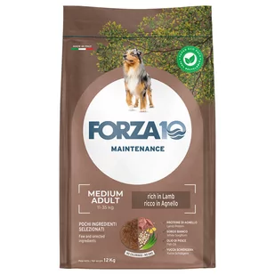 Forza 10 Medium Maintenance, jagnięcina i ryż - 12 kg - Sucha karma dla psów - miniaturka - grafika 1