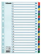 Przekładki do segregatorów - Esselte PRZEKŁADKI KARTONOWE A4 MYLAR 1-20 - miniaturka - grafika 1
