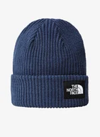 Czapki męskie - Czapka zimowa The North Face Salty Dog Beanie - shady blue - miniaturka - grafika 1