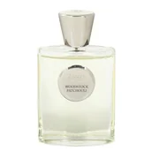 Wody i perfumy damskie - Giardino Benessere Woodstock Patchouli ekstrakt perfum 100 ml - miniaturka - grafika 1