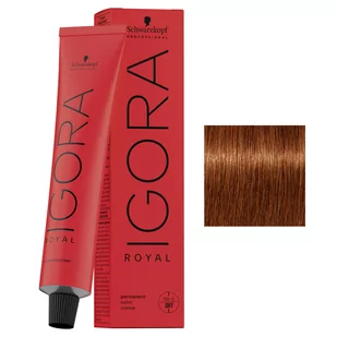 Schwarzkopf Igora Royal, profesjonalna farba do wosw, 6-77, 60ml - Farby do włosów i szampony koloryzujące Schwarzkopf Igora Royal, profesjonalna farba do wosw, 6-77, 60ml - Farby do włosów i szampony koloryzujące - miniaturka - grafika 1