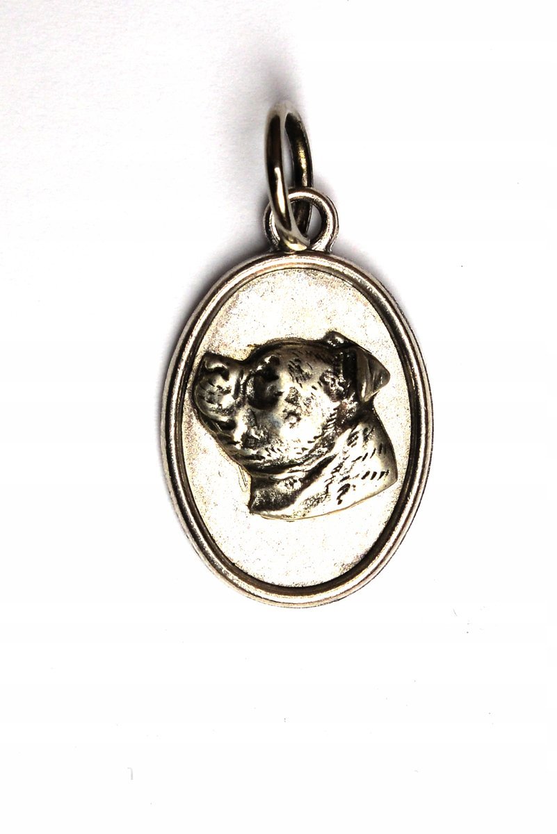 Staffordshire Bull Terrier, Staffik, Staffi - naszyjnik z psem, wisiorek dl