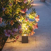 Lampy ogrodowe - SLV Concreto reflektor podłogowy IP65 GU10 kątowy - miniaturka - grafika 1