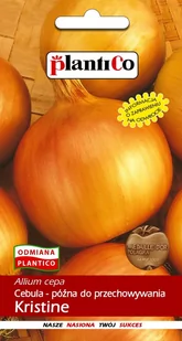 Plantico Cebula Kristine - Nasiona i cebule - miniaturka - grafika 1