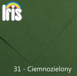 Canson Karton rys. (I) A3 op.50 - c.zielony 31 - Szkolne artykuły papiernicze - miniaturka - grafika 1