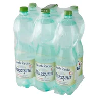 Woda - Skarb Życia - Muszyna naturalna woda mineralna gazowana - miniaturka - grafika 1
