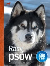 Rasy psów - Rozwój osobisty - miniaturka - grafika 2