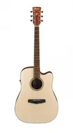 Gitary elektryczne - Ibanez PF10CE-OPN - miniaturka - grafika 1