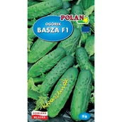 Nasiona i cebule - OGÓREK GRUNTOWY BASZA 5G - miniaturka - grafika 1