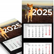 Notesy i bloczki - KALENDARZ 2025 TRÓJDZIELNY ŚCIENNY Miesięczny - Shiba Inu Pies Różne Wzory - miniaturka - grafika 1