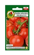Nasiona i cebule - Pomidor pod osłony Pelikan F1 0,1 g PNOS - miniaturka - grafika 1