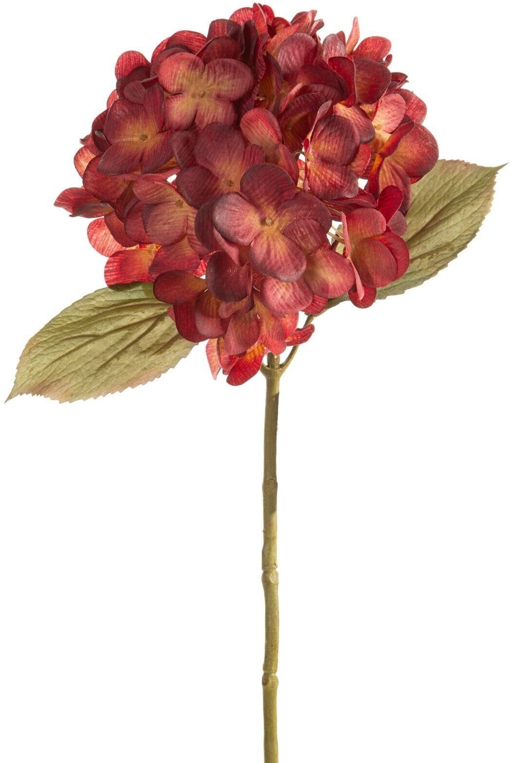 Eurofirany Sztuczna hortensja bordowa 68 cm główka 20 cm dekoracja x6