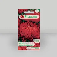 Nasiona i cebule - Aster chiński peoniowy Czerwony 1g - Nasiona - W. Legutko - miniaturka - grafika 1