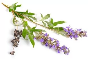EQUIHERBS Niepokalanek pospolity 1 kg - Akcesoria jeździeckie - miniaturka - grafika 1