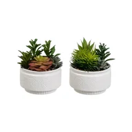 Sztuczne kwiaty - Sztuczne rośliny zestaw 2 szt. (wysokość 19 cm) Cactus – Casa Selección - miniaturka - grafika 1