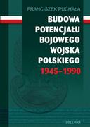 Historia Polski - Budowa potencjału bojowego Wojska Polskiego... - miniaturka - grafika 1
