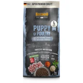 Sucha karma dla psów - Belcando Puppy GF Poultry Sucha karma dla szczeniąt do 4 miesiąca 1kg - miniaturka - grafika 1