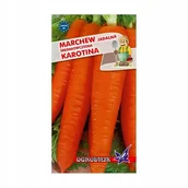 Nasiona i cebule - Marchew Karotina średniowczesna 5g / O / - miniaturka - grafika 1