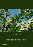 Historia Polski - Pierwotna historia Polski - miniaturka - grafika 1