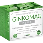 Układ nerwowy - XENICO GINKOMAG PLUS  120 kapsułek 3347261 - miniaturka - grafika 1