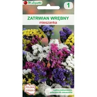 Nasiona i cebule - Zatrwian wrębny mieszanka 60-70 cm W.Legutko - miniaturka - grafika 1