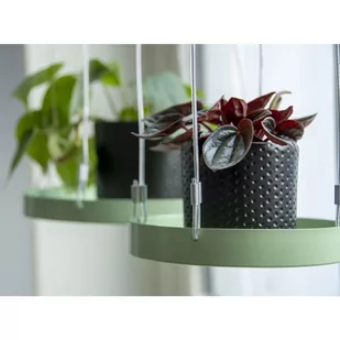 Esschert Design Wisząca taca na rośliny, okrągła, zielona, rozmiar S Esschert Design - Tace i patery - miniaturka - grafika 2