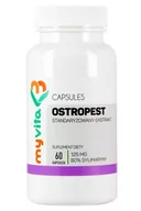 Suplementy diety - Myvita Ostropest Ekstrakt 125mg (60kaps) 80% Sylimaryny Myvita mv-093 - miniaturka - grafika 1