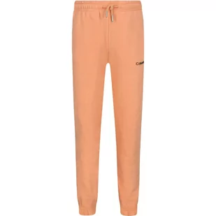 CALVIN KLEIN JEANS Spodnie dresowe | Regular Fit - Spodnie sportowe damskie - miniaturka - grafika 1