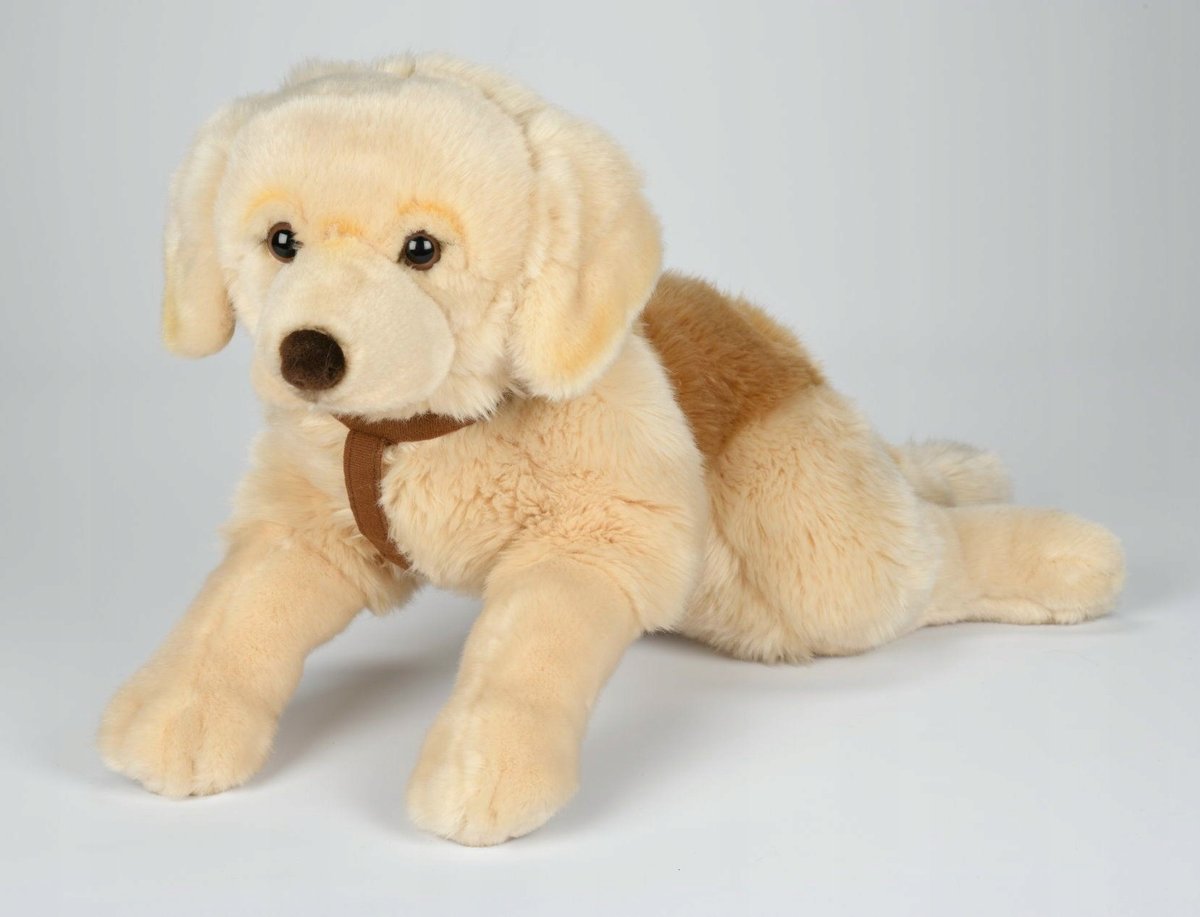 Maskotka Pies Labrador leżący ze smyczą - 62cm