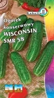 Nasiona i cebule - Ogórek konserwowy Wisconsin Smr 58 5g / L / - miniaturka - grafika 1
