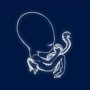 Ada Ágtis Byrjun: A Good Beginning (20th Anniversary Edition) - Muzyka alternatywna Ada Ágtis Byrjun: A Good Beginning (20th Anniversary Edition) - Muzyka alternatywna - miniaturka - grafika 1