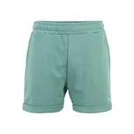 Spodenki męskie - FILA Męskie spodenki dresowe Blythe Sweat, zielone (Beryl Green), M, zielony (Beryl Green), M - miniaturka - grafika 1